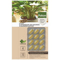 Bio Cure Capsules for Resilient and Healthy Houseplants – 12 Pieces – Natural Plant Treatment with Organic Ingredients